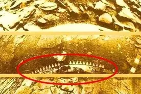 欧美科学家在金星发现生命的迹象，苏联曾发现金星遗迹果真存在？图片
