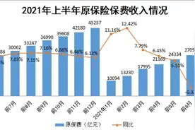 2021年上半年保险市场运行情况分析报告图片