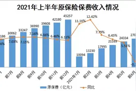 2021年上半年保险市场运行情况分析报告图片