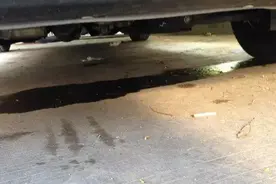 停车后，车底传来恐怖“咔咔”声，还漏了一滩水，正常么？图片