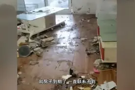 气愤！90后情侣将边牧犬遗弃在出租屋十几天！爱心人士：它浑身屎尿毛里生蛆图片