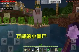 我的世界：这应该是手机版最稀有的方块了，见过的绝对都是老玩家图片