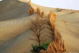 黄沙供不应求，价格暴涨，为何不到黄河里采沙或用沙漠中的沙子？图片