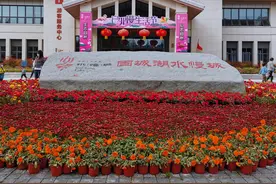 南京：4A级景点，固城湖水慢城，4月的郁金香图片