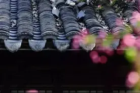 风雨人生 作者/灵儿图片