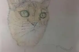 美术生画画时间不够了，剩下的部分如何完成，成品虎头蛇尾太爆笑图片