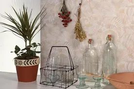 面善的人，最值得深交图片