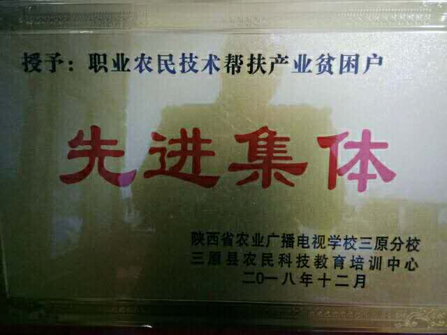 三原丰原红果蔬专业合作社技术部重要通知