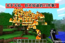 远古版mc的火可以“烧矿”？关于火焰，你可能不知道的13件事图片