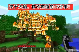 远古版mc的火可以“烧矿”？关于火焰，你可能不知道的13件事图片