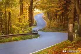 怎么把秋天拍美，这7个摄影技巧，拍秋天树叶和风景都能用图片
