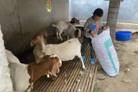 父亡母走，8岁男孩在姑姑姑父庇佑下长大：他们是我的再生父母图片