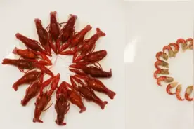 瘦吧APP|你最爱的小龙虾，竟然是减肥食物？图片