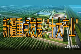 新疆重点发展“十大产业”图片