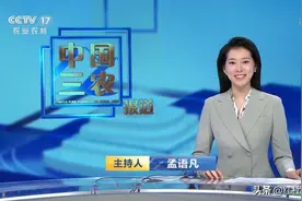 原广东卫视新闻主播孟语凡加盟央视，首秀亮相于《中国三农报道》图片