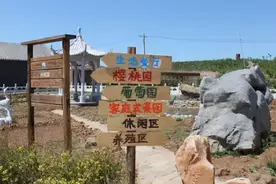 边做农庄边带娃，一位辣妈的亲子休闲农庄图片