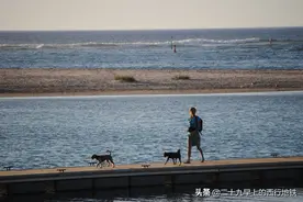 一人一狗赤足栈桥，两人两椅默语水岸。相看应该是欢喜的，如初见图片