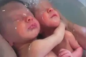 双胞胎刚出生，被护士抱去洗澡，哥哥的反应让网友直呼“太暖心”图片