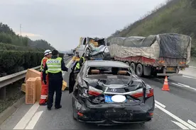 跑高速前车急停，是躲还是急刹？正确操作救你命图片