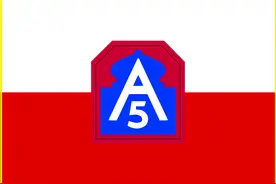 美国陆军各类标识（4）：第五集团军图片