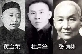 杜月笙之子杜维善解密杜公馆，儿女们较劲，姨太太争宠图片