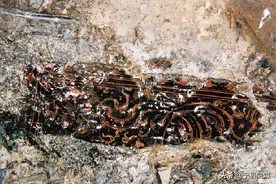 探秘老山汉墓图片