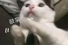 就是这动作！济南一学校保安，引发众多女生“尖叫”图片