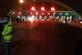 还记得武汉的那只蓝猫吗？封城后坚强求生73天等主人回来图片