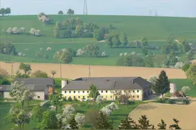 违建限期3天拆除，3天后没有催告就强拆？法院：违法图片