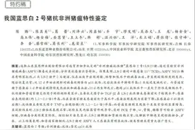 我国科学家发现唯一抗非瘟大白猪品种 阳性场成功复养超2700头图片
