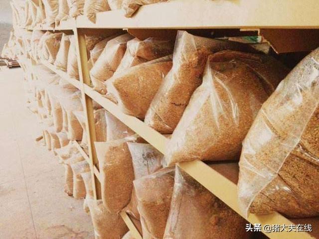 都说发酵饲料养猪好，好在哪？关于发酵饲料这些问题，你需要了解