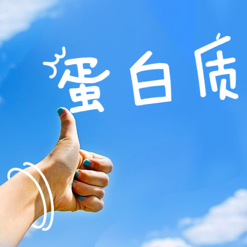 你用的蛋白原料属于哪一类？