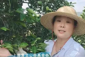 袁立久违亮相，穿白衬衫戴草帽下田做“果农”，身材微胖气质超好图片