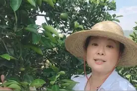 袁立久违亮相，穿白衬衫戴草帽下田做“果农”，身材微胖气质超好图片