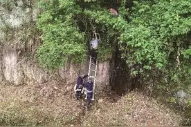 9岁男童走失10天后竟在悬崖上获救 家人：真是奇迹图片