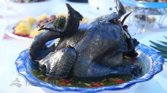 「西畴新闻」林亚达：珠宝界里奔出的养鸡人