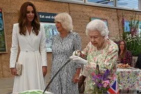 英王室齐露面，女王拿半米刀切蛋糕面露难色，凯特卡米拉谈笑风生图片