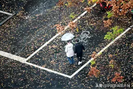 江苏常州：寒潮大风降温 落叶满地成景图片