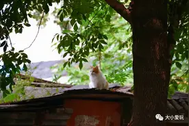 帝都七条最有故事的小众街区！简直是私藏级遛娃宝地图片