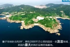 当年的神股獐子岛，造假的底裤终于被扒了图片