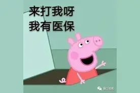 小猪“佩奇”病亡状告保险公司！法官怎么破？图片