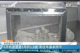 南京蚊密度小高峰来了，吃大蒜防蚊靠谱吗？专家给出解答图片