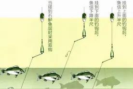 「 日本专业矶钓书籍 」石鲈钓法 矶钓和深海钓是当下钓鱼主流图片