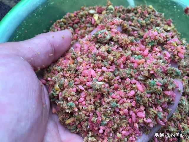 野生鲤鱼特别“精”，一定要投其所好才能尽快将其诱进窝
