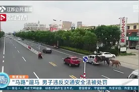 下班高峰期马路遛马 男子违反交通安全法被处罚图片