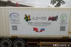 “云果”首乘中欧班列直运出口俄罗斯图片