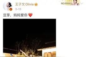 贾乃亮、王子文，到此为止吧图片