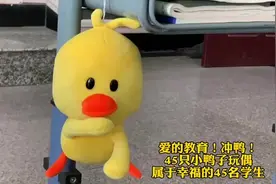 一起“冲鸭”！沈阳这个高三班“养”了45只小鸭子，因为“教育是鼓励”图片