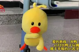 一起“冲鸭”！沈阳这个高三班“养”了45只小鸭子，因为“教育是鼓励”图片