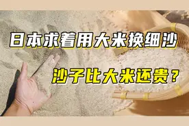 沙子比大米还要贵？日本想用大米换细沙，却被我国果断拒绝图片